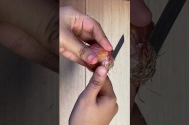 Red Shos Pasta | chandanicooking