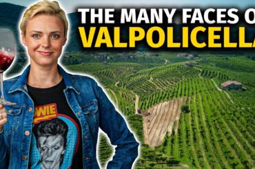 EXPLORING & TASTING: Valpolicella vs Amarone vs Ripasso vs Recioto
