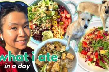 REALISTIC WHAT I ATE IN A DAY | My dogs, high protein meals, self care (VEGAN)