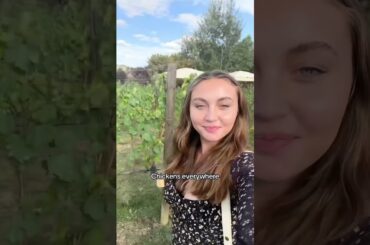 Wine tour? YES #winetours #studyabroad