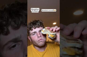 Eating from different food robots for the whole day!