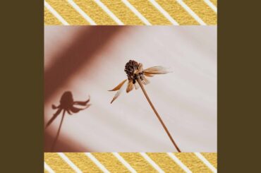 Playful Moods for Deluxe Italian Dining