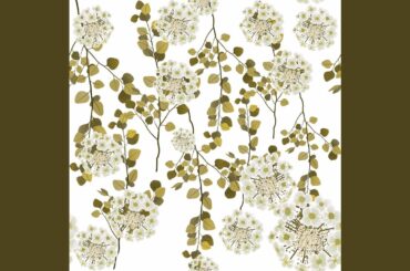 Friendly Backdrops for Deluxe Italian Dining