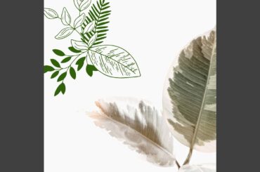 Distinguished Moods for Deluxe Italian Dining