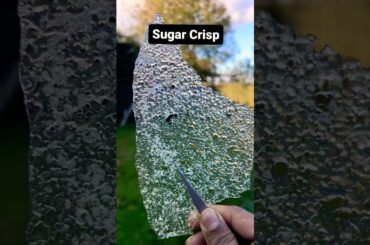 Sugar Crisp / Sugar Tuile / Sugar Crackers Recipe in  @GRONDA-video  Check Bio For the Link.