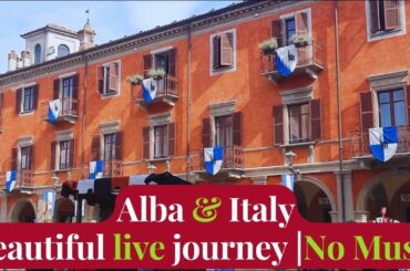 Live walk  through Alba town (Italy) :  Wine Fairy | Bonsai of grape |  Streets | No music
