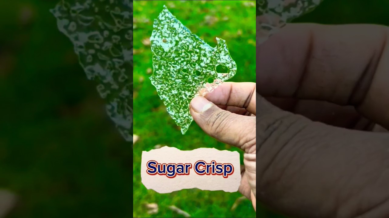 Sugar Crisp / Sugar Tuile #dessert #delicious #sweet #sugar #cooking #cook #recipe #trending #uk #ig Sugar Crisp / Sugar Tuile #dessert #delicious #sweet #sugar #cooking #cook #recipe #trending #uk #ig