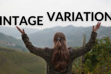 Vintage Variations in Wine Explained
