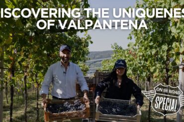 Discover the top secrets behind Amarone wine at the Costa Arente winery