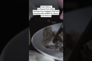 Did you know... #shorts #insects #cheese #italy #food #facts #viral #travel #video #nature #interest