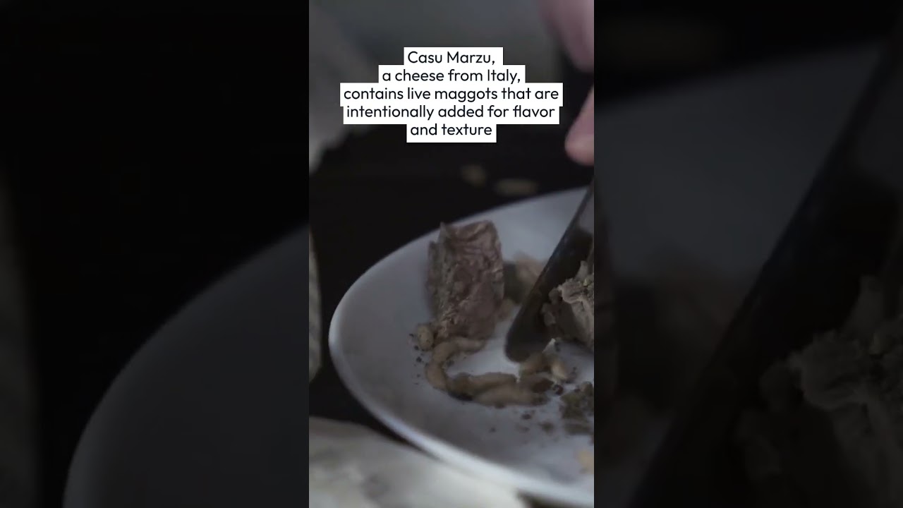 Did you know… #shorts #insects #cheese #italy #food #facts #viral #travel #video #nature #interest Did you know... #shorts #insects #cheese #italy #food #facts #viral #travel #video #nature #interest