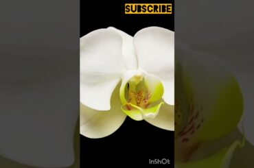 #youtubeshorts #shorts #like #shortsviral #subscribe #short #shortvideo #feed #feedshorts #youtuber