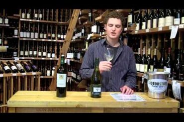 Wine Tasting: Italian White Wines -  Bollini Pinot Grigio Trentino & Terradora Falanghina.m4v