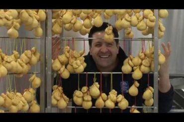 Regional Italian Cuisine - Market Report Diavioletti