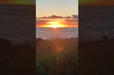 Red Wine Twilight #redwine #red #fruit #redredwine #bon #alcoholicbeverage #nature #wine