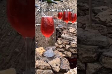 Wine Fountain in Italy #shorts #fact #amazingfacts