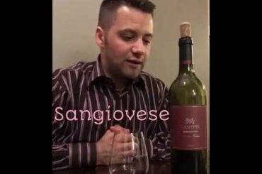 Wine in 60 Seconds Episode 42 - Italian Delight