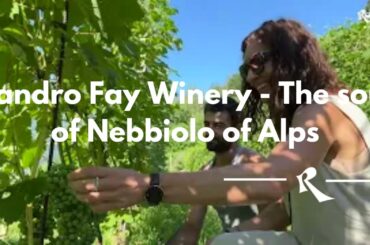 Sandro Fay Winery - The soul of Nebbiolo of Alps