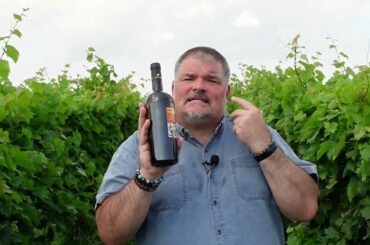 TASTY Tenuta Ulisse 2022 Terre di Chieti Pecorino (Italy)