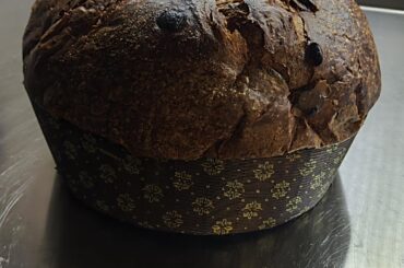 Il mio primo panettone