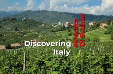 Moscato Di Scanzo Wine Media Conference Introduction