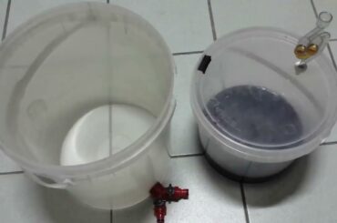 How to make the best italian wine at home from grapes without yeast and sugar!