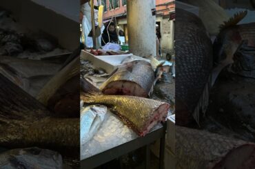 The Shrinking Rialto Market in Venice Italy