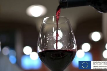 Sutto: wines for the italian lifestyle