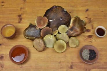 Ancient Roman Plebeian's Mushrooms
