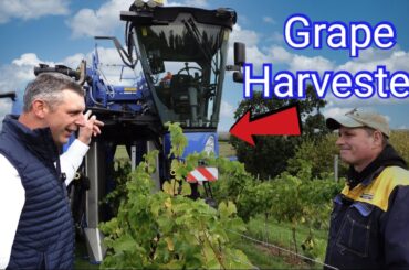 HI-TECH GRAPE HARVESTER MAKES WINE