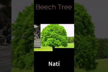 Discovering Austria: Culture, Nature, and Cuisine. #austria