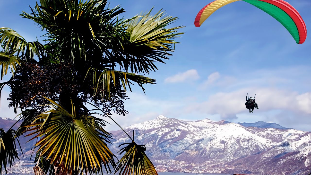 From Palm Trees To Glaciers: The Beauty Of South Switzerland | Wild Faces of Switzerland From Palm Trees To Glaciers: The Beauty Of South Switzerland | Wild Faces of Switzerland