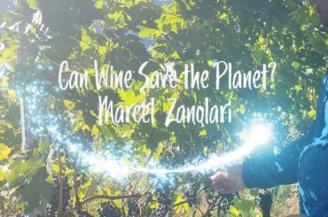 Discover Future Wines at Marcel Zanolari
