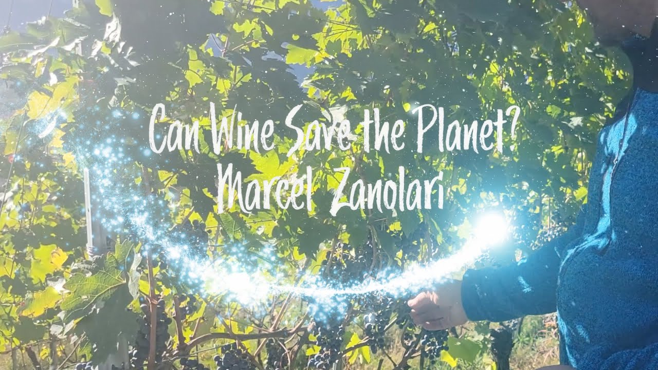 Discover Future Wines at Marcel Zanolari Discover Future Wines at Marcel Zanolari