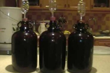How to Make Wine from Grapes at Home