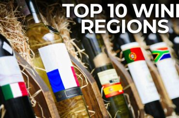 Discover the World's Top 10 Wine Regions