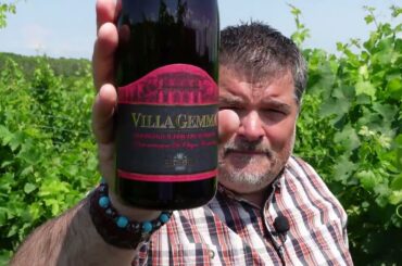 CLASSIC Masciarelli 2022 Villa Gemma Cerasuolo Superiore (Italy)