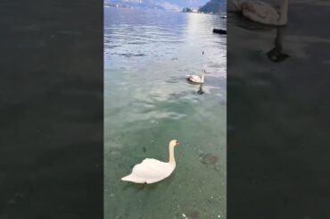 Winter Delights: Uncovering the Enchanting Charms of Lake Como, Italy