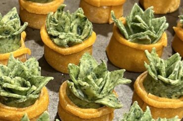 Succulent Pot Ravioli