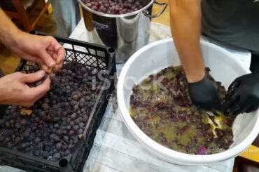 Wine Wonders: DIY Grape Wine at Home