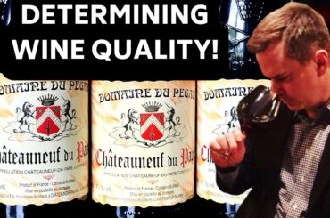 Discover the Art of Wine Tasting: How to Evaluate WINE QUALITY