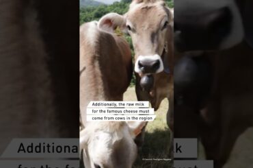 What makes original Parmesan cheese from Italy so expensive?