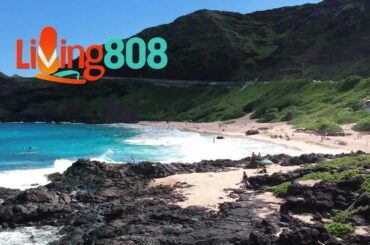 This Kaneohe Restaurant Becomes a Favorite Italian Eatery For Windward Residents (Part 2)