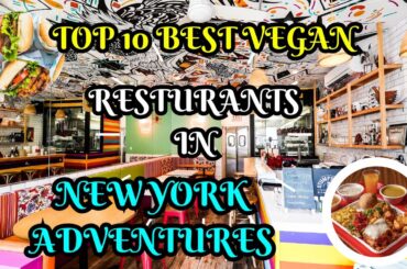 TOP 10 BEST VEGAN RESTURANTS IN NEW YORK ADVENTURES