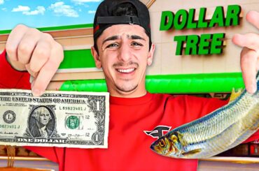 Eating ONLY Dollar Store Food for 24 HOURS!!