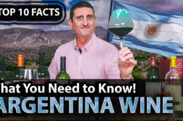 Top 10 Facts to understand Argentina Wine (Malbec)