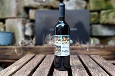 Novel Wines Explorer's Club - Vinedo de los Vientos Pablo Fallabrino Barbera 2020, Uruguay