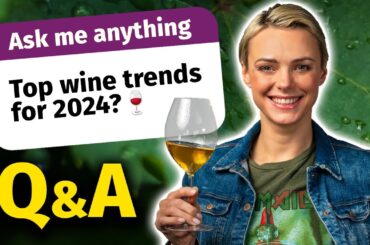 Q&A | Sommelier Answers YOUR Wine & Non-Wine Questions + GIVEAWAY WINNER