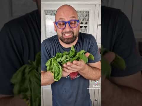 ITALIAN COOKING ITALIAN COOKING