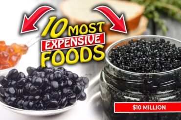 Top 10 World’s Most Expensive Foods on the Planet II The Facts Report